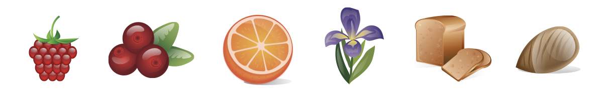 Vůně a chuť vína Champagne Rosé Brut Yannick Prevoteau